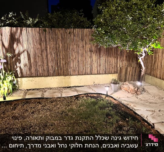 עץ קטן מואר ליד גדר במרפסת